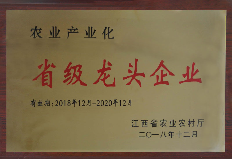省級(jí)龍頭企業(yè)